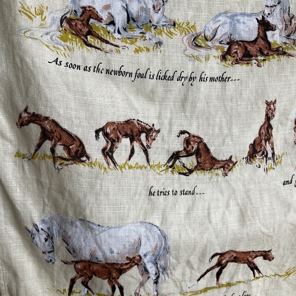 Ulster Weavers Linen Tea Towel A Foal’s First Day Sam Savitt 100% Irish Linen - Picture 6 of 16